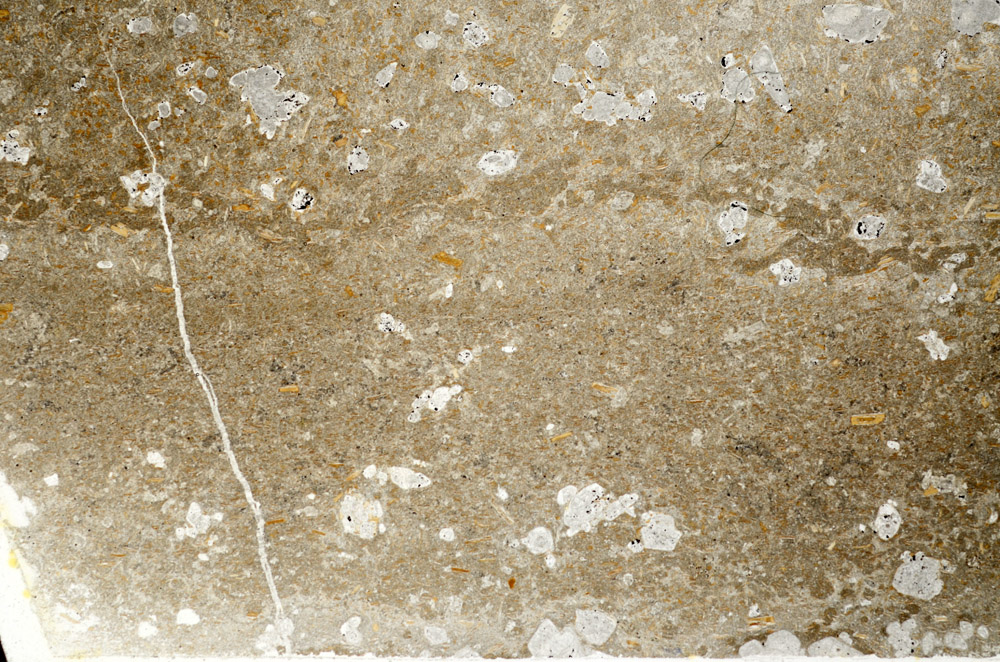 Plane Polarized, S75526