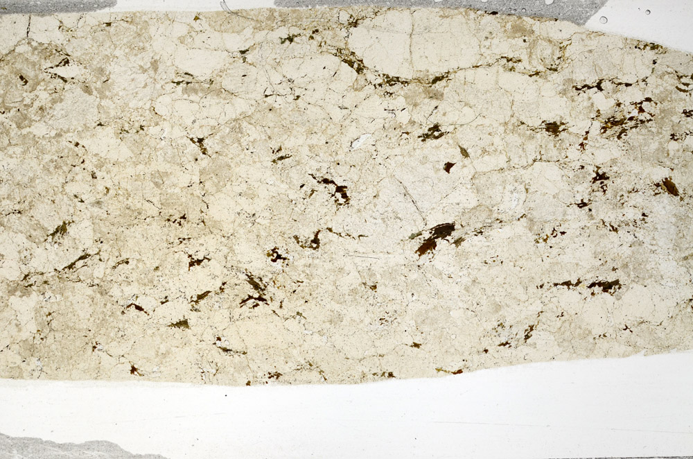 Plane Polarized, S75557