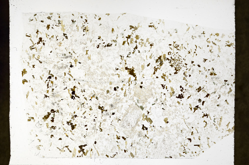 Plane Polarized, S75805