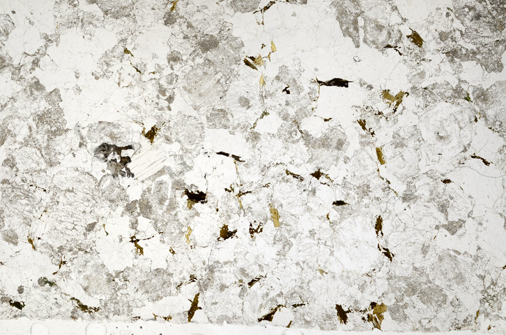 Plane Polarized, S76068