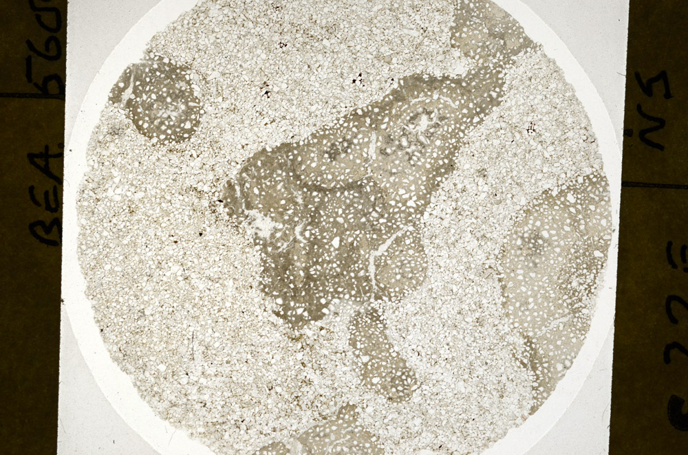 Plane Polarized, S76214