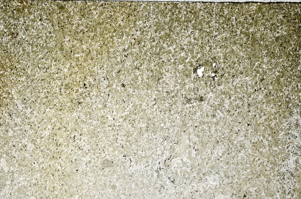 Plane Polarized, S76260