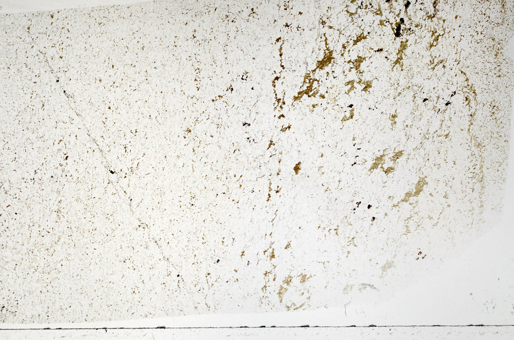 Plane Polarized, S76289