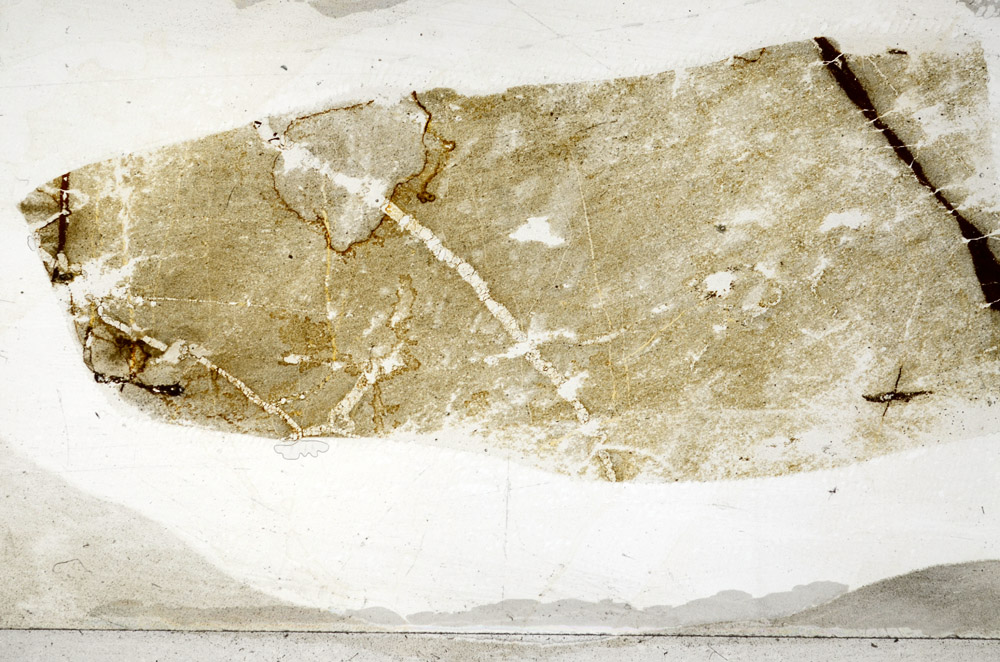 Plane Polarized, S76424