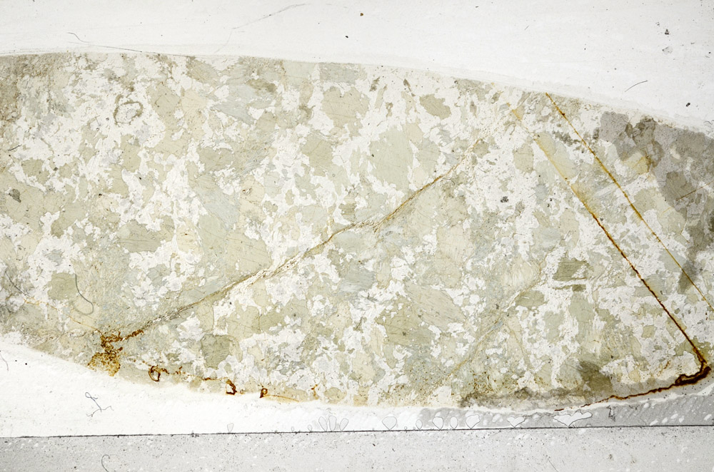 Plane Polarized, S76429