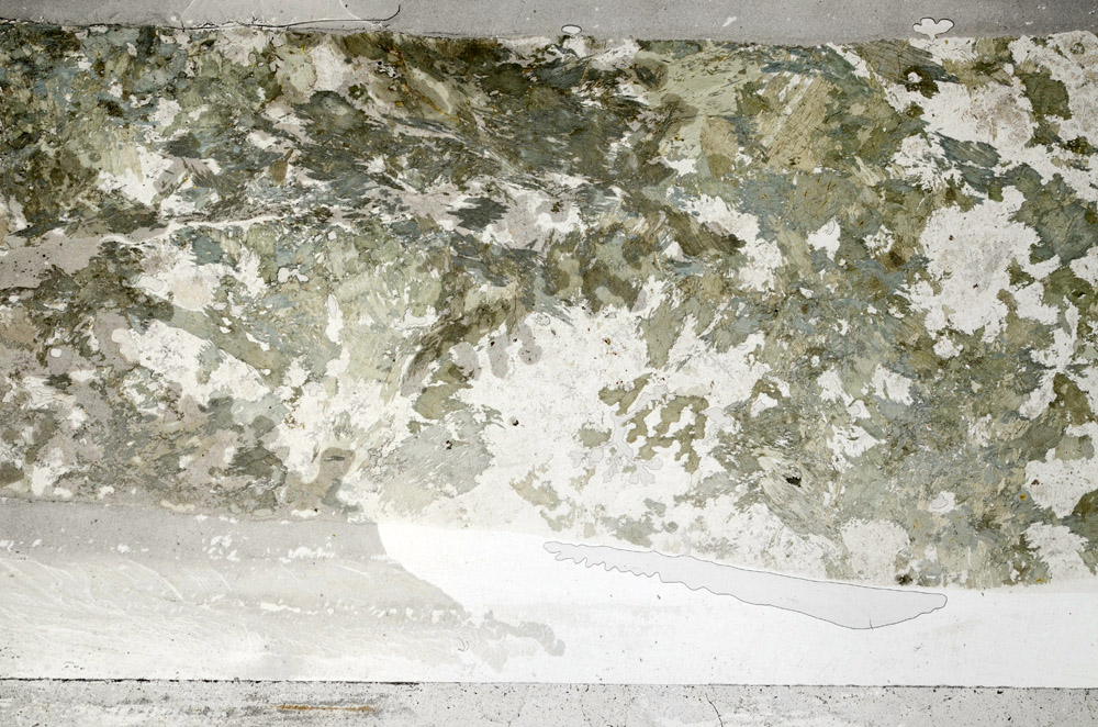 Plane Polarized, S76431