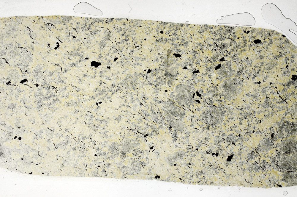 Plane Polarized, S76434