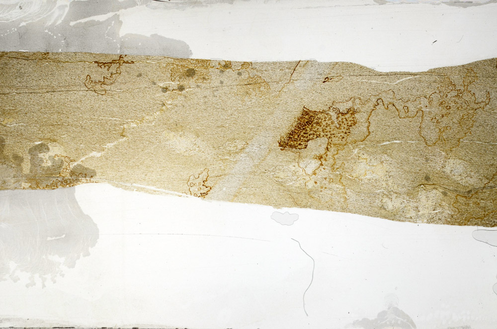 Plane Polarized, S76439