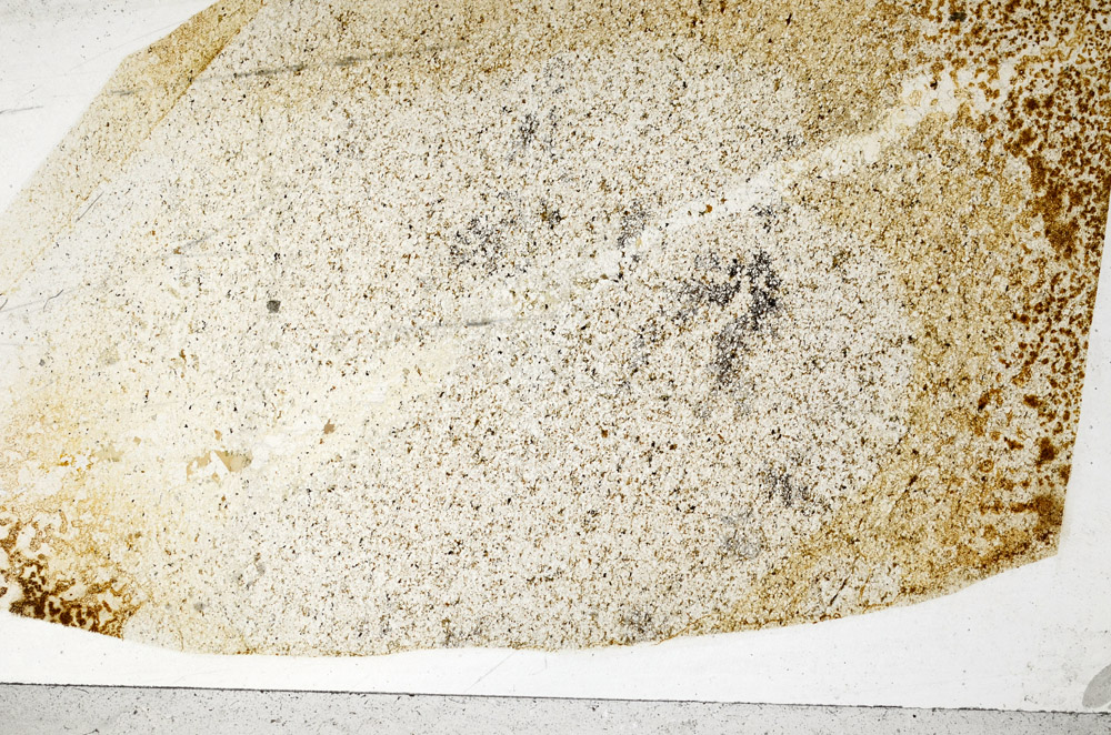 Plane Polarized, S76441