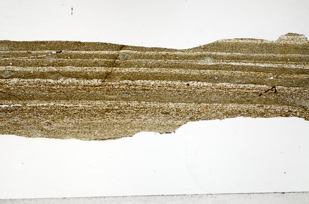 Plane Polarized, S76442