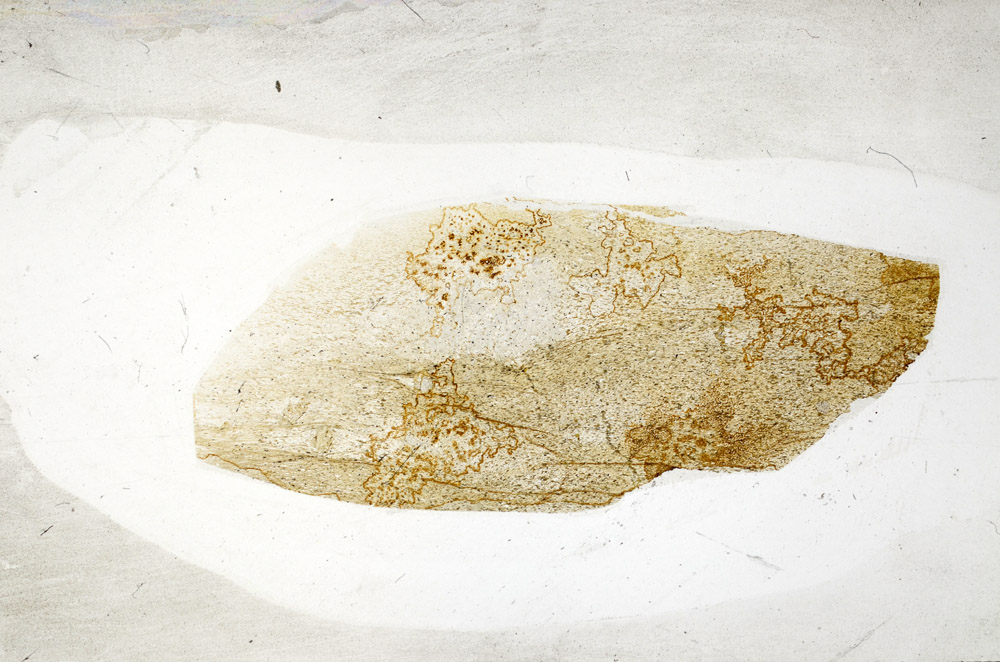 Plane Polarized, S76444