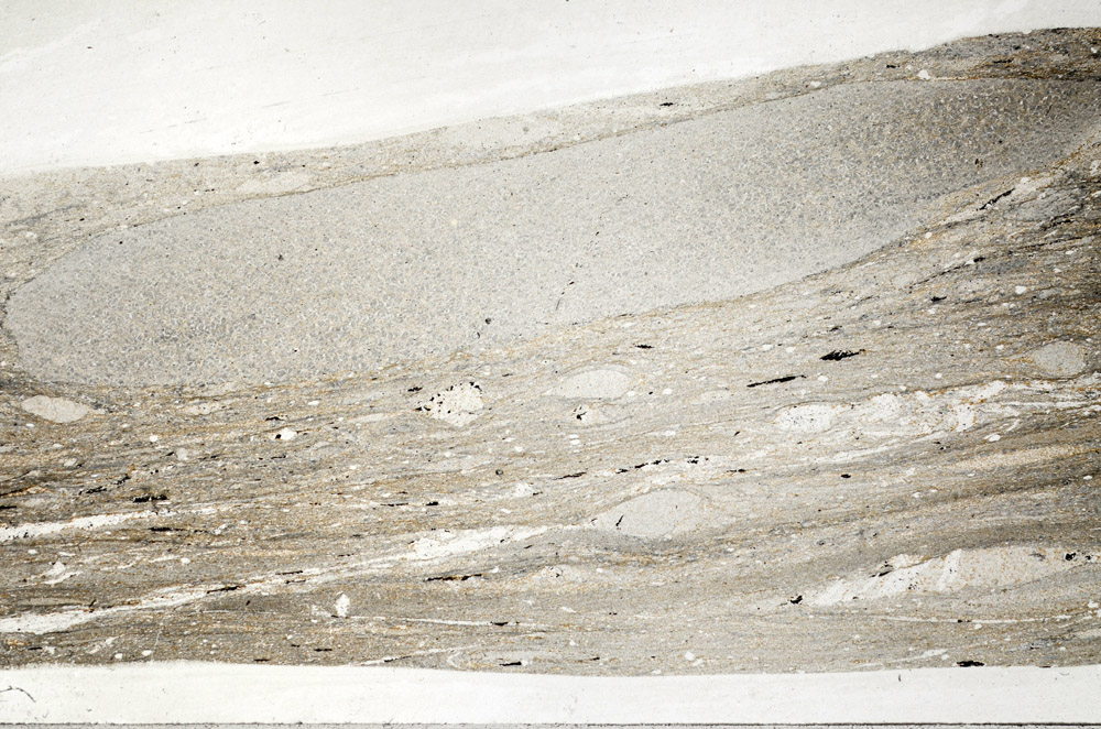 Plane Polarized, S76445