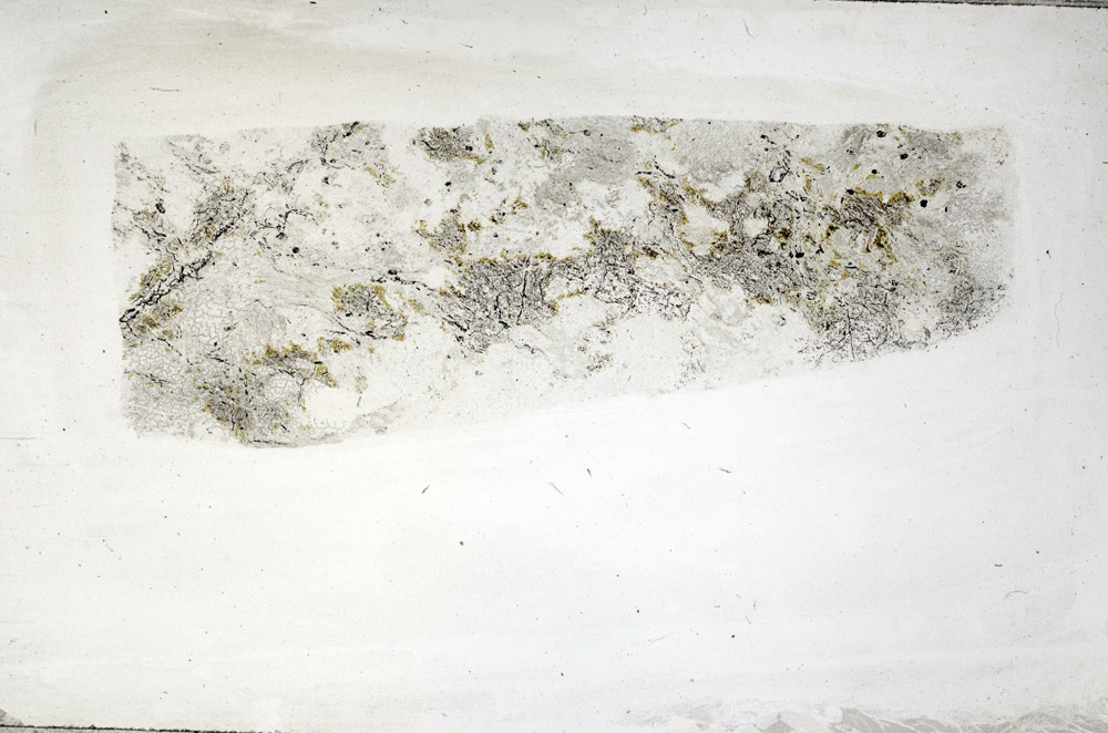 Plane Polarized, S76452