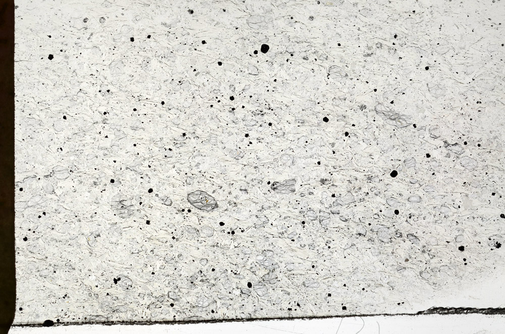 Plane Polarized, S76719