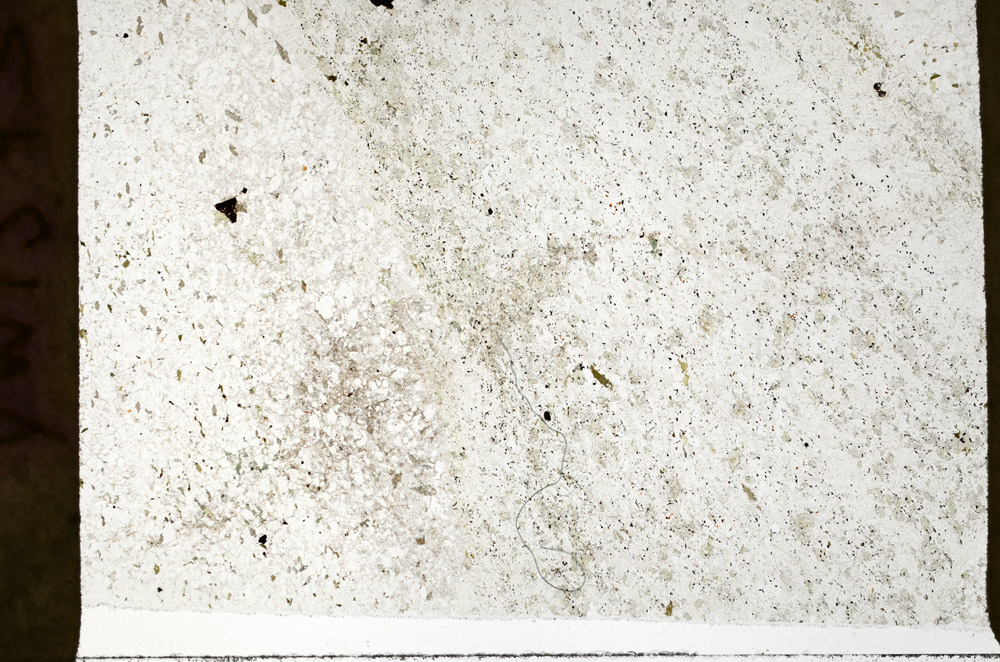 Plane Polarized, S76720