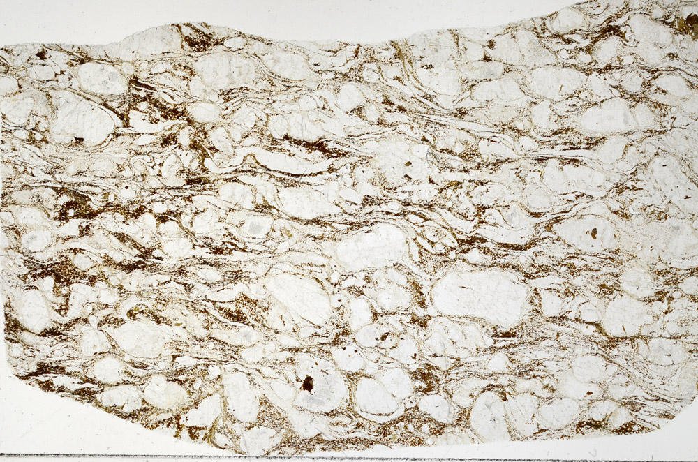 Plane Polarized, S76798