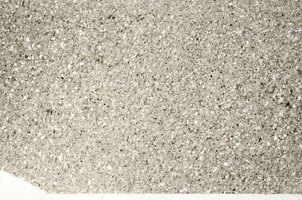 Plane Polarized, S76986