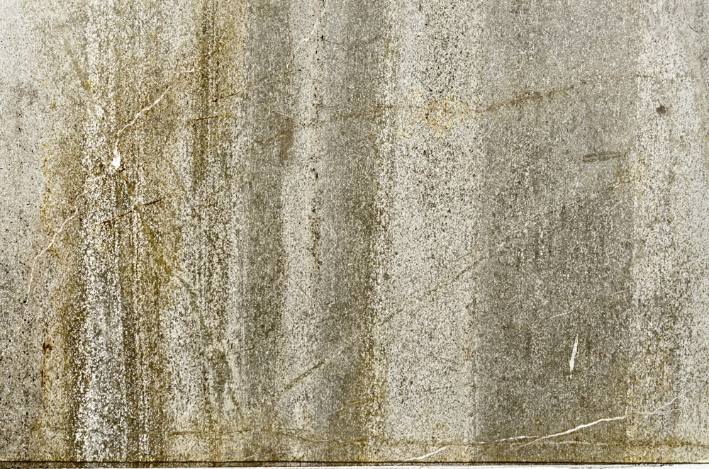 Plane Polarized, S77290