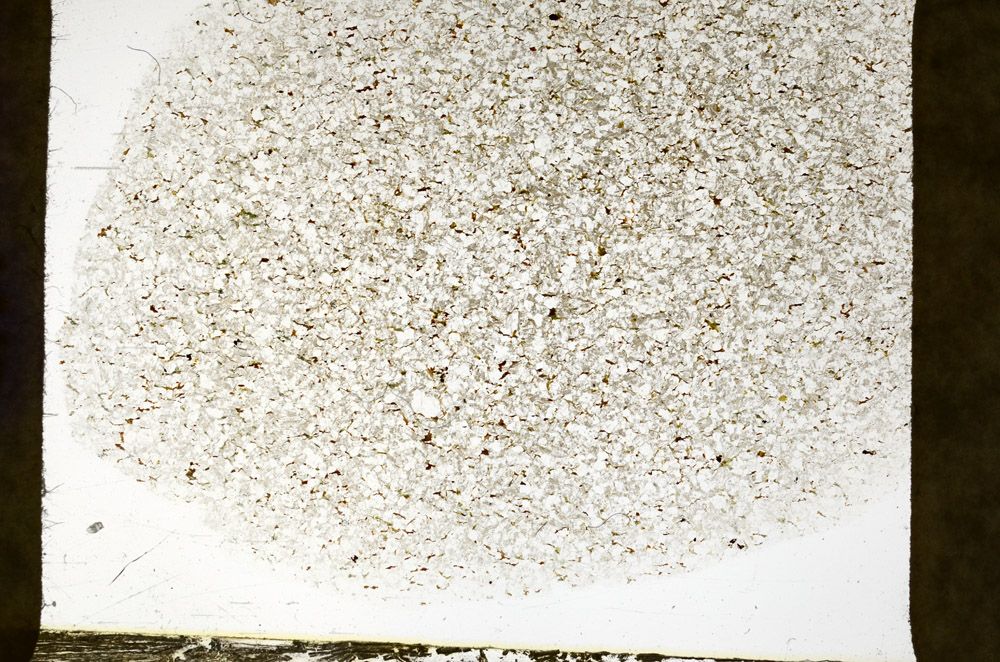 Plane Polarized, S77621