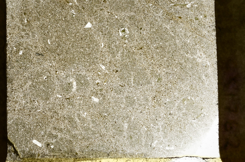 Plane Polarized, S77626