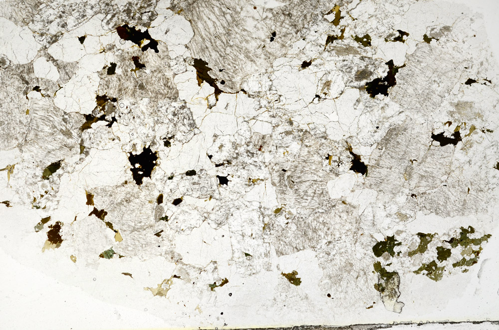 Plane Polarized, S77638