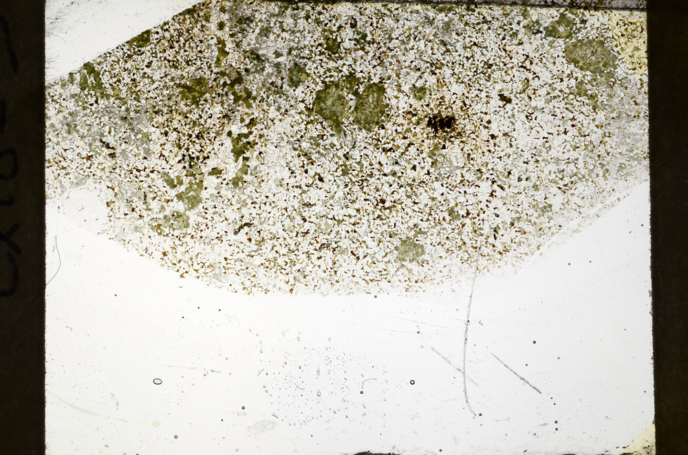 Plane Polarized, S77646
