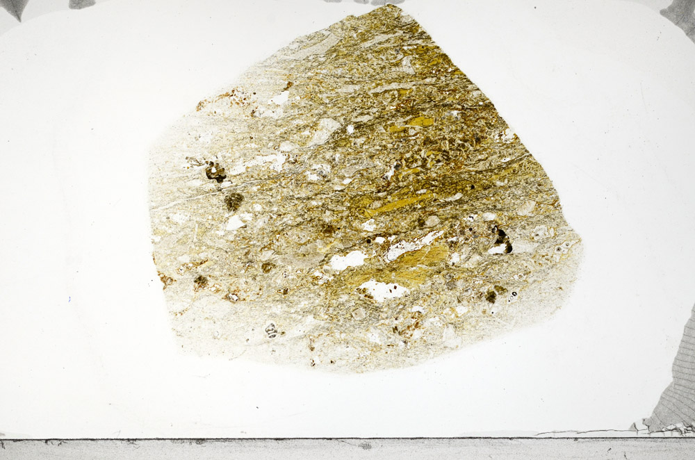 Plane Polarized, S77704