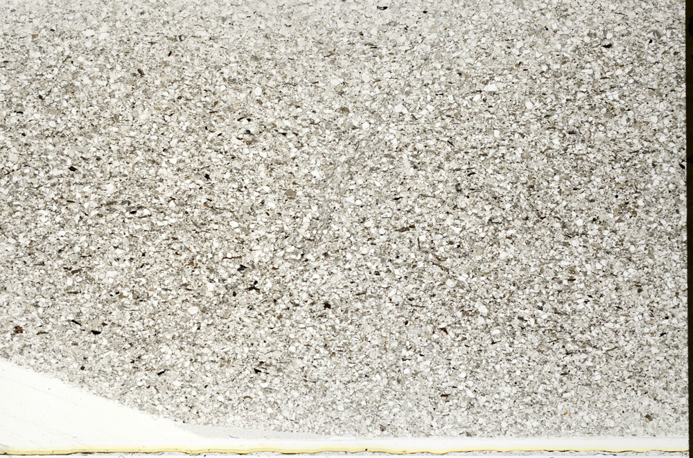 Plane Polarized, S77784