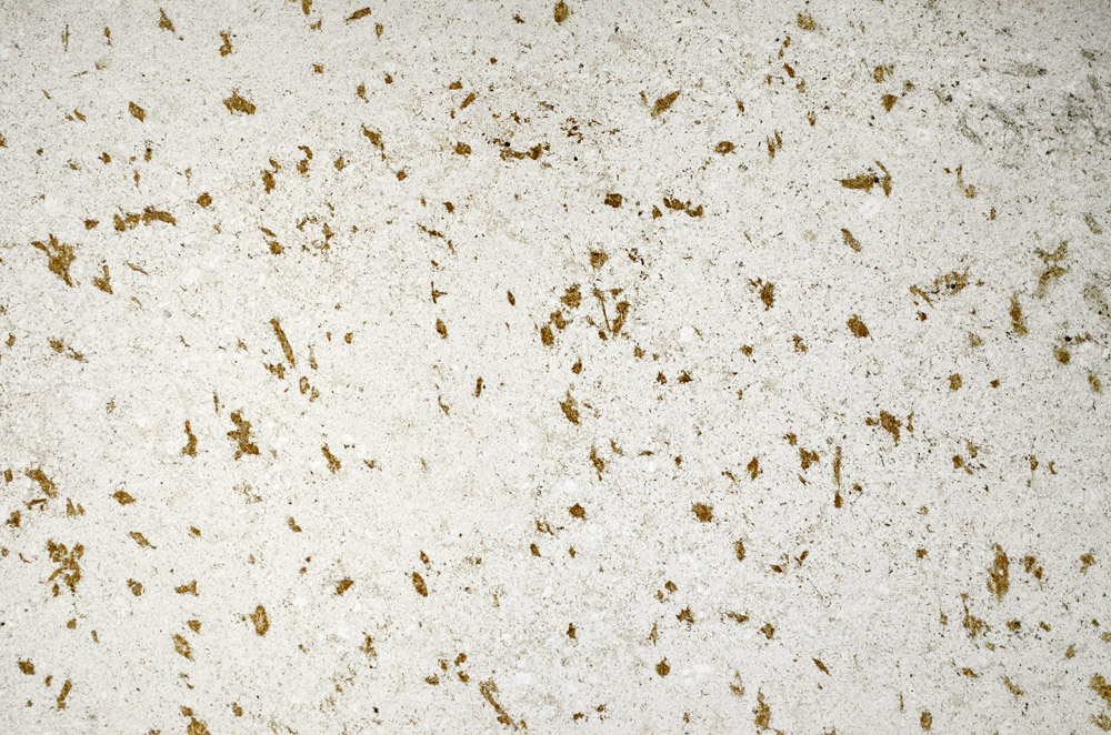 Plane Polarized, S78036