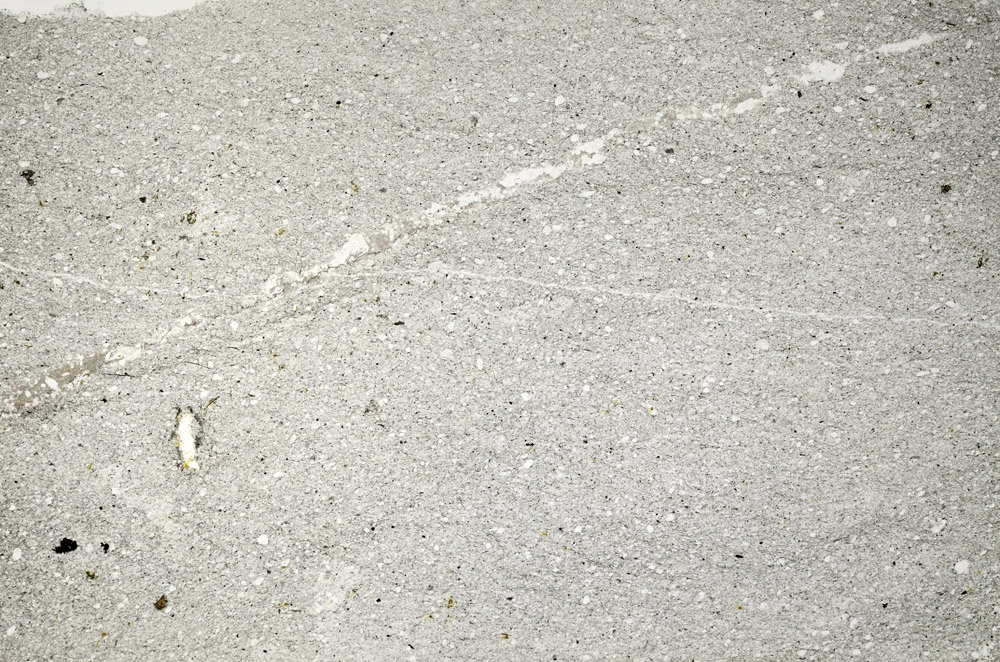 Plane Polarized, S78073