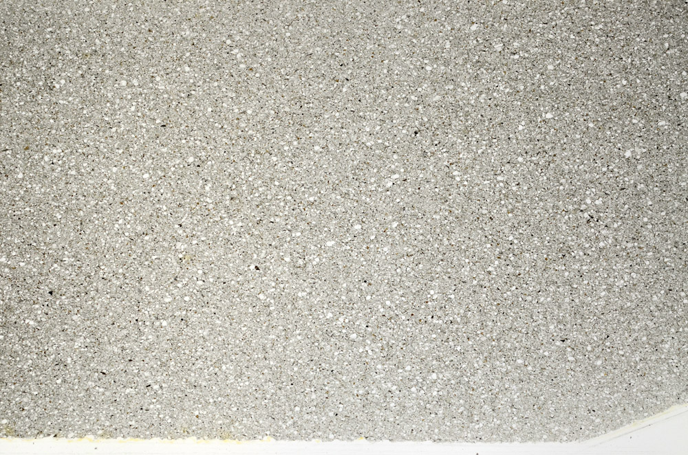 Plane Polarized, S78081