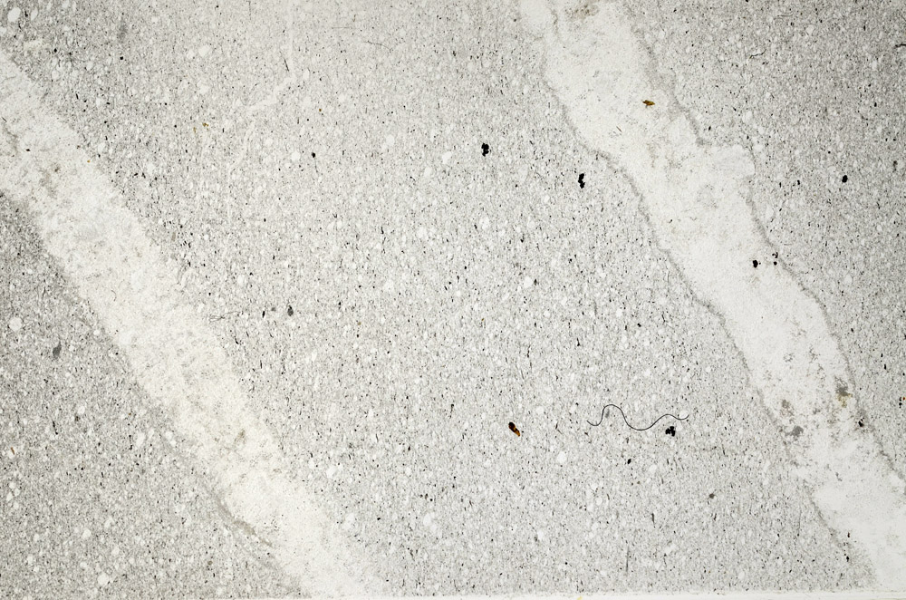 Plane Polarized, S78082