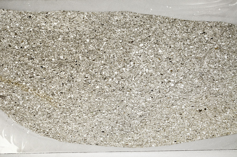 Plane Polarized, S78108