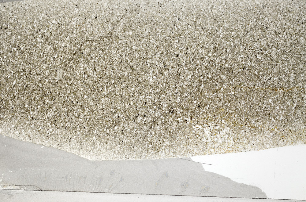 Plane Polarized, S78109