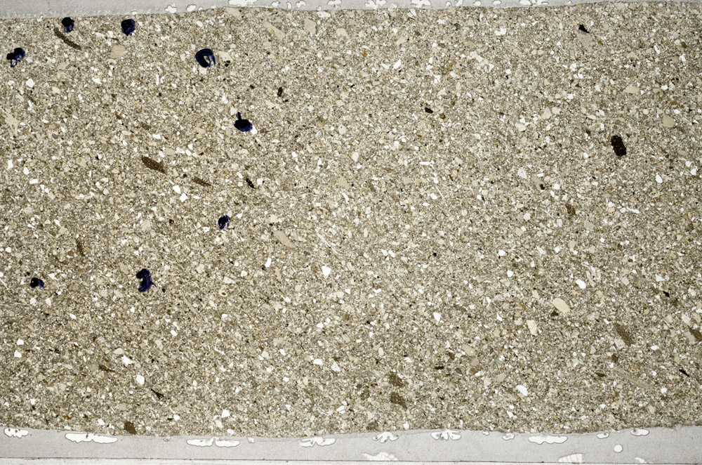 Plane Polarized, S78137