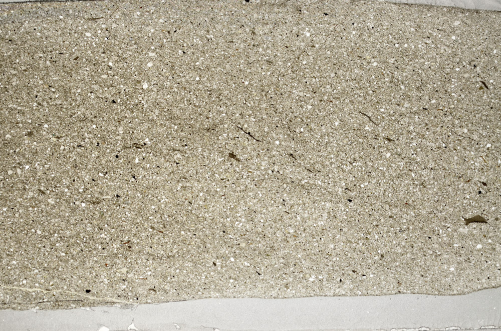 Plane Polarized, S78138