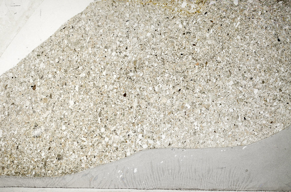 Plane Polarized, S78142