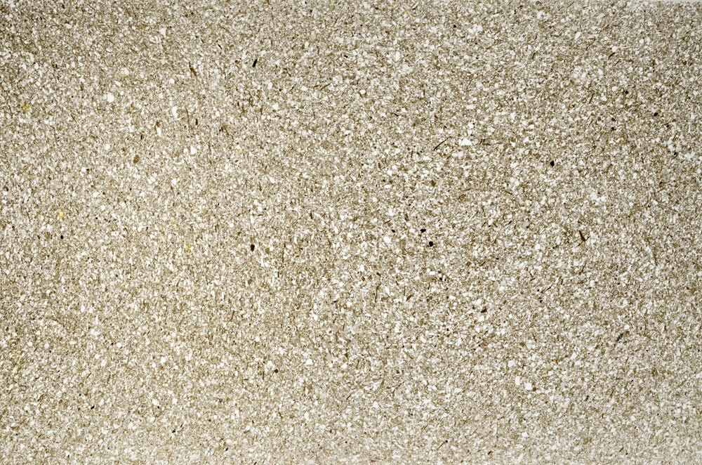 Plane Polarized, S78224