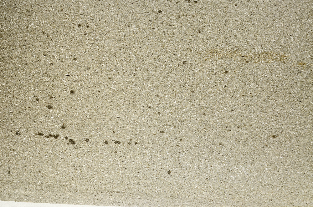 Plane Polarized, S78250