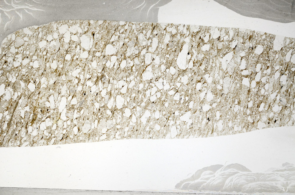 Plane Polarized, S78298