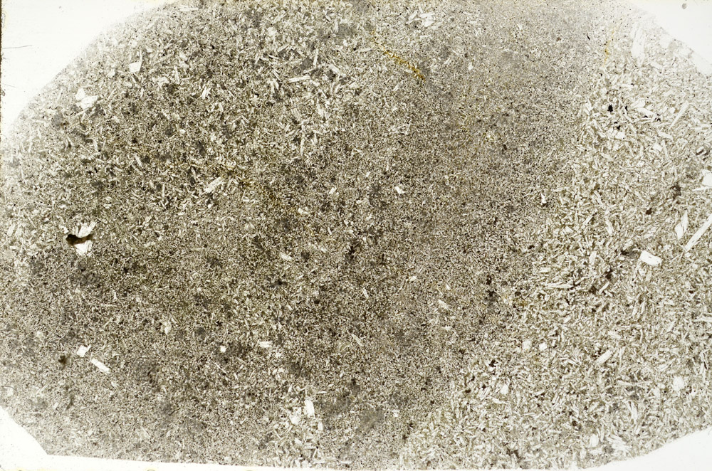 Plane Polarized, S78386