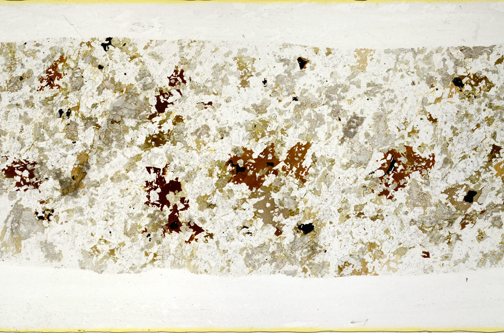 Plane Polarized, S78427