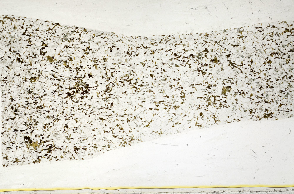 Plane Polarized, S78432