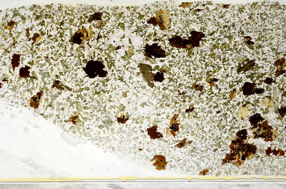 Plane Polarized, S78437