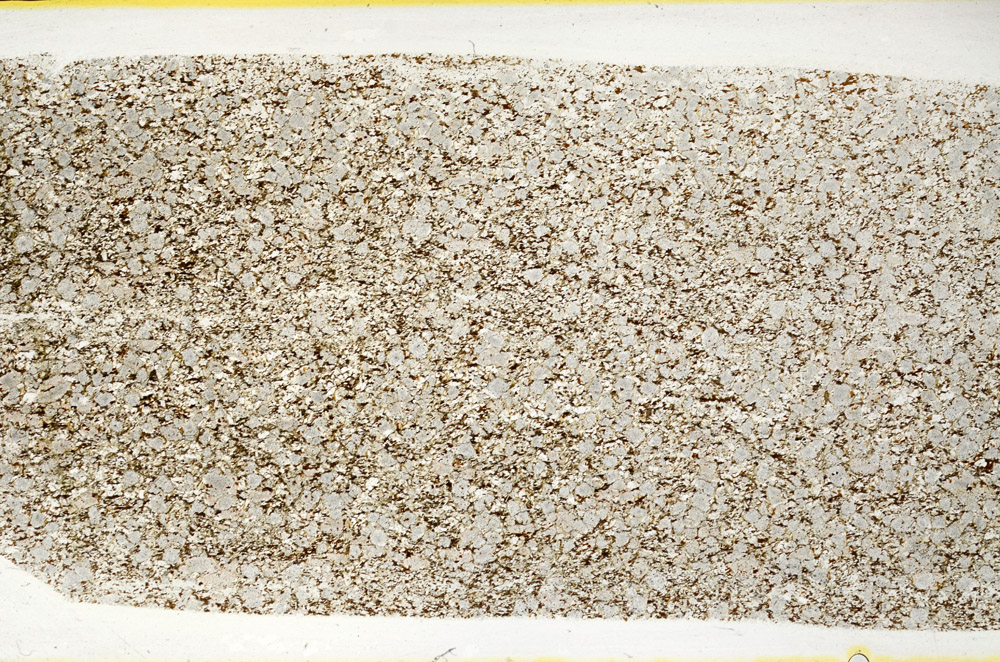 Plane Polarized, S78443