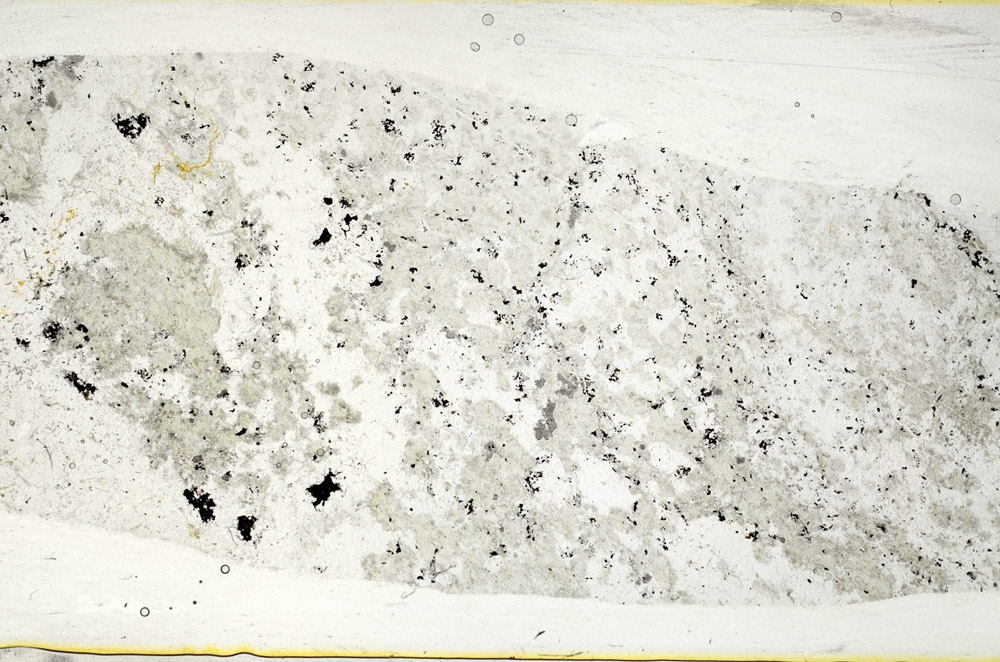 Plane Polarized, S78447