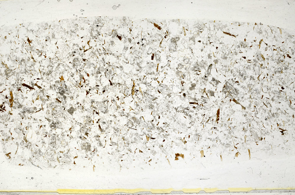 Plane Polarized, S78451