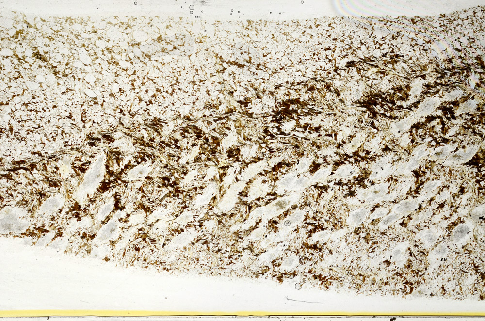 Plane Polarized, S78452