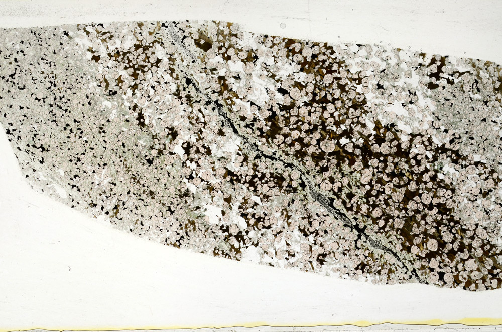 Plane Polarized, S78468