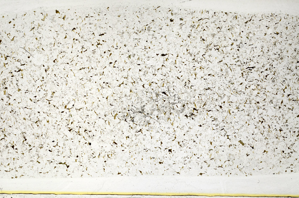 Plane Polarized, S78490